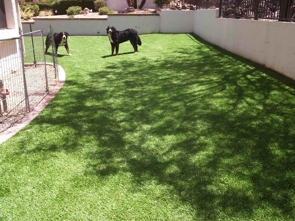 Synthetic Lawn Pet Turf Company San Diego, Best Artificial Pet Turf Pricing