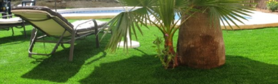 ▷Ways To Maintain Your Artificial Lawn In Summer Season San Diego
