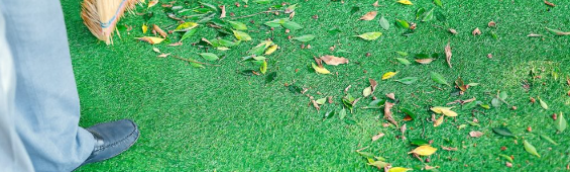 ▷How To Clean Artificial Grass In Winter Season San Diego?