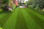 3 Categories Of Artificial Grass In San Diego