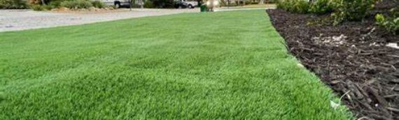 ▷5 Tips To Choose The Right Infill Material For Artificial Grass In San Diego