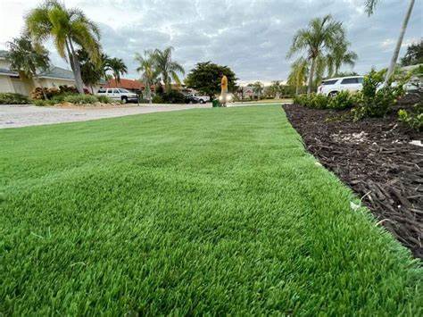 5 Tips To Choose The Right Infill Material For Artificial Grass In San Diego